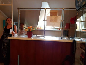 Mini-hotel Na Turgenevskoi 8B Solnetschnogorsk